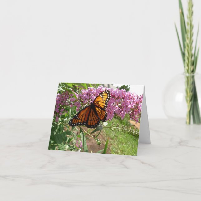 New Day Gardens Carte pour notes - Papillon Vicero (Devant)
