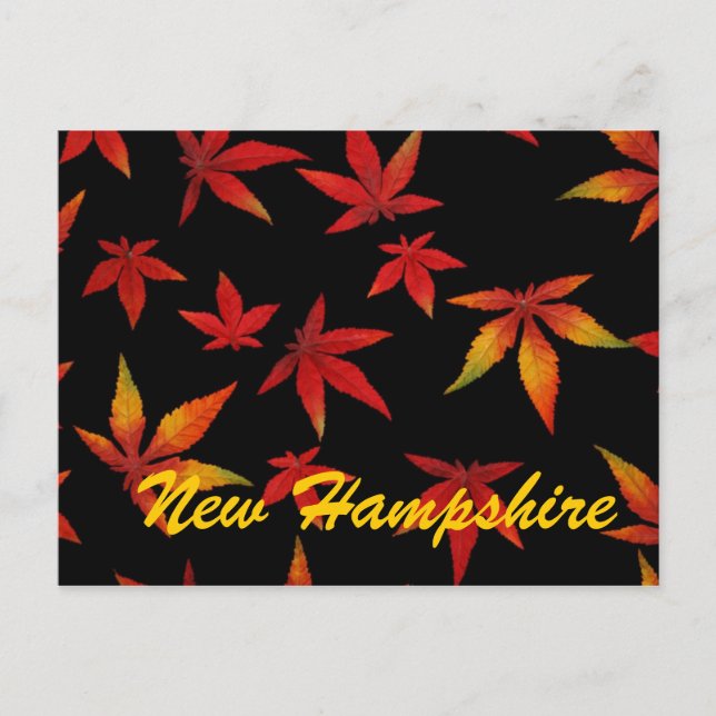 New Hampshire Automne Feuilles Carte Postale (Devant)