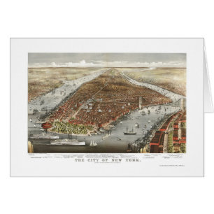 New York, carte panoramique de NY - 1876