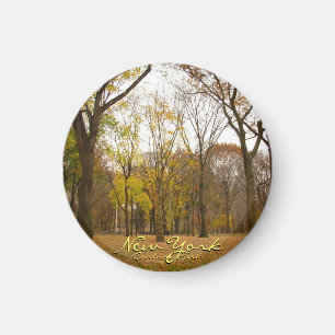 New York Frigo Magnet Central Park NYC Magnet
