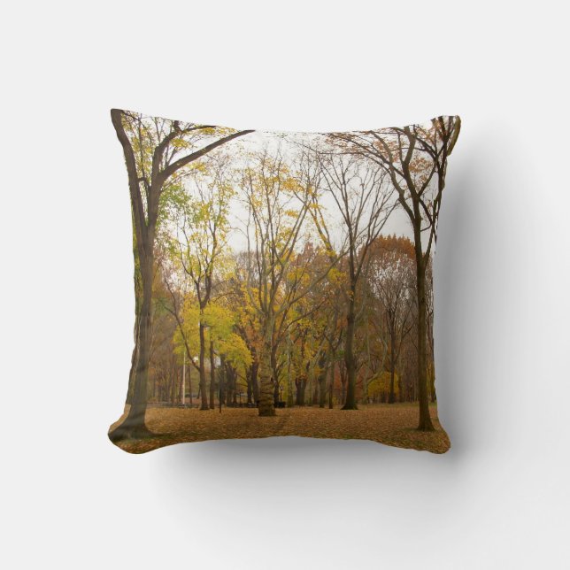 New York Souvenir Coussin NY Central Park Coussin (Recto)