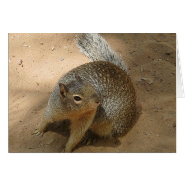 ~New Zion FuZzY GuY~ (Devant horizontal)