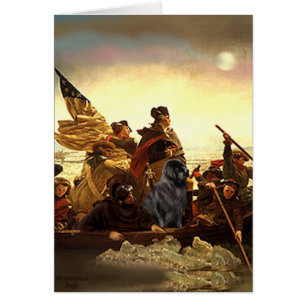 Newfie 1 - Washington Crossing......