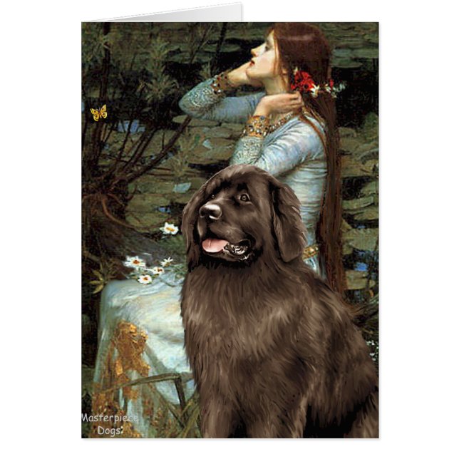 Newfie (brun) - Ophelia assise (Devant)