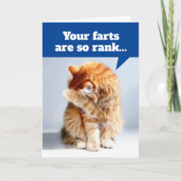 Nez De Chat Dû À La Carte D'Anniversaire Des Pieds