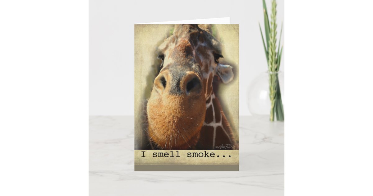 Nez De Girafe D Humour De Carte D Anniversaire Zazzle Fr