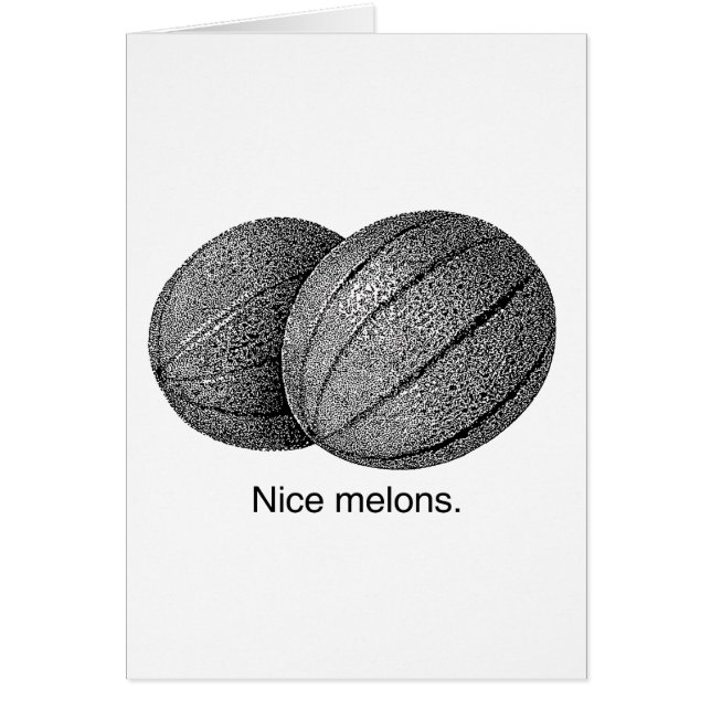 NICE MELONS -.png (Devant)
