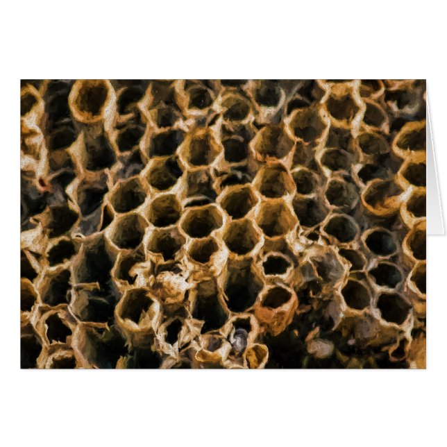 Nid vide (Devant horizontal)