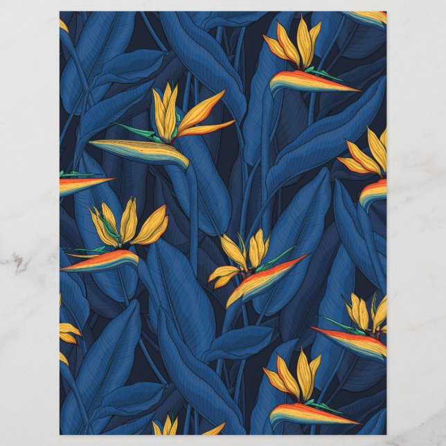 Night bird of Paradise garden 2 (Devant)