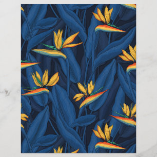 Night bird of Paradise garden 2