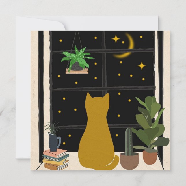 Nighttime Kitty (Devant)