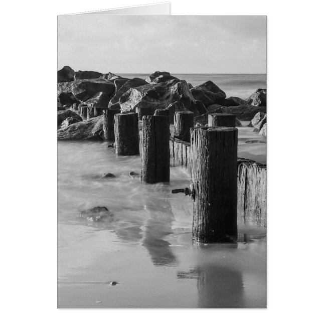 Niveaux de gris de la digue (Devant)