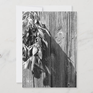 Niveaux de gris en bois de Gris de Grange coupé