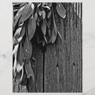 Niveaux de gris en bois de Gris de Grange coupé
