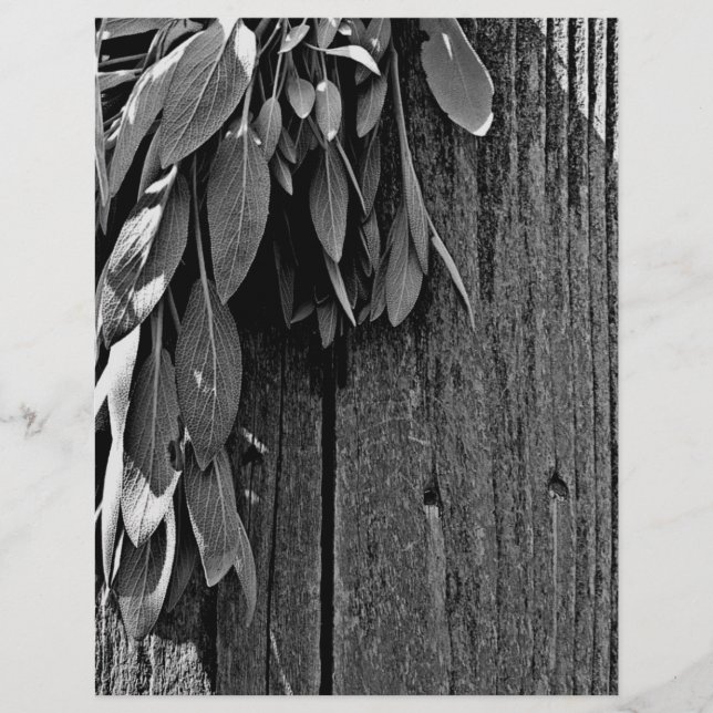 Niveaux de gris en bois de Gris de Grange coupé (Devant)