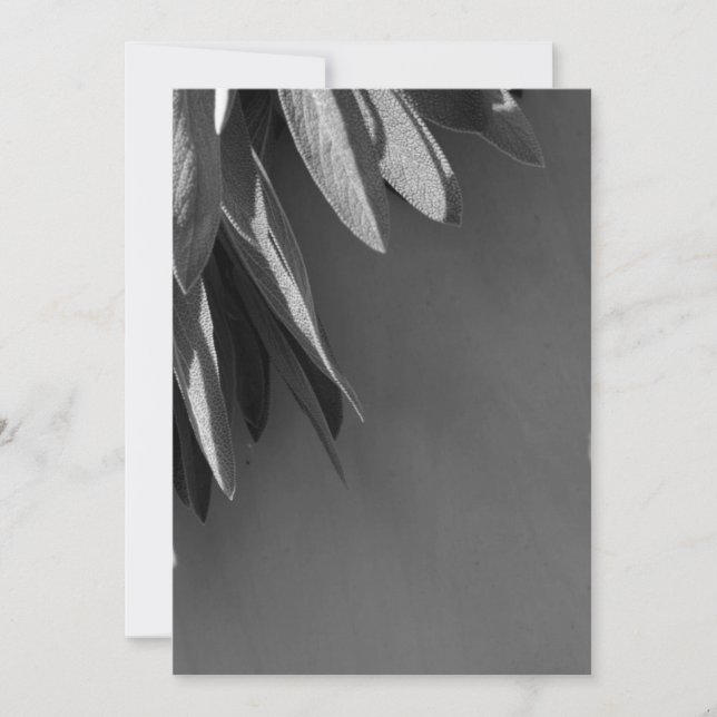 Niveaux de gris fraichement coupés (Devant)