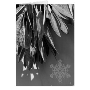 Niveaux de gris fraichement coupés