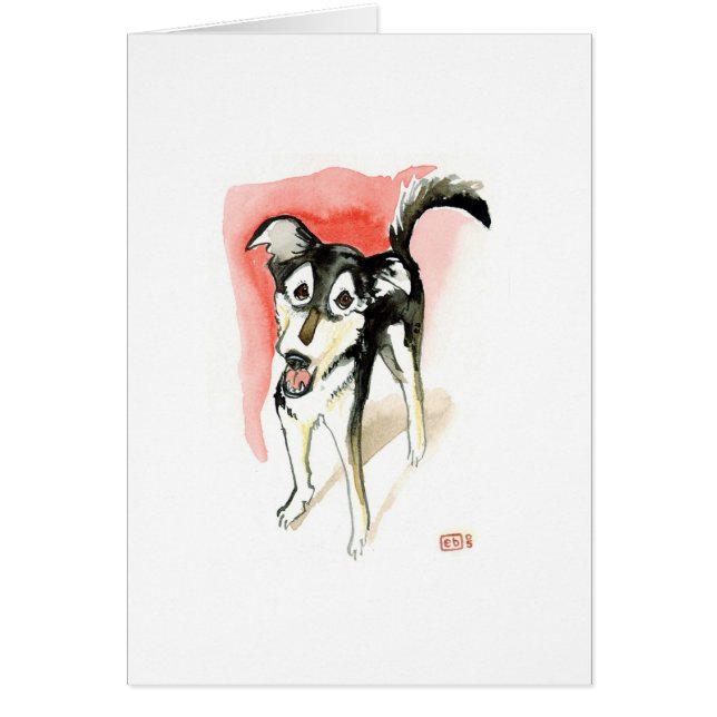 No.1 maximum (Devant)