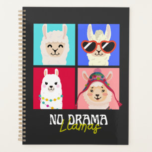No drama Llamas