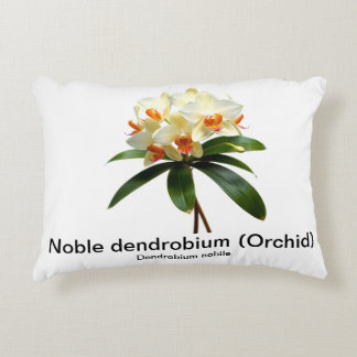 Noble dendrobium orchidée Accent Coussin