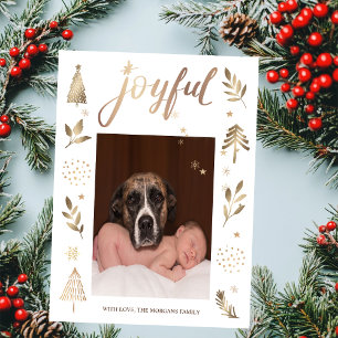 Noël Arbre Joyeux Photo Noël