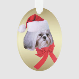 Noël, chien de Shih Tzu, casquette de Père Noël