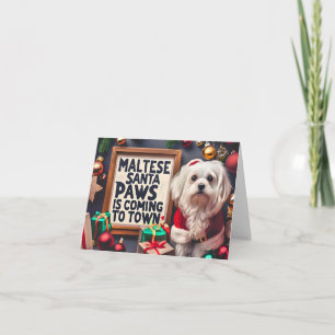 Noël Chien Maltais Arrive en Ville Carte de Noël C