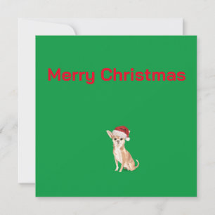 Noël Chihuahua Chien Vert Joyeux voeux