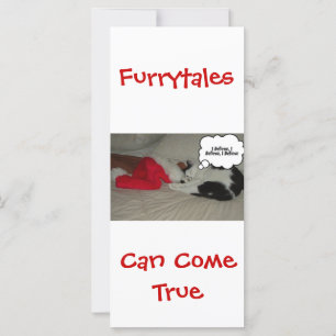 Noël Croire Kitten noir et blanc