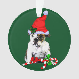 Noël de Bulldog anglais