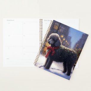 Noël de la saison festive du Caniche