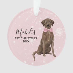 Noël de vacances de labrador retriever de