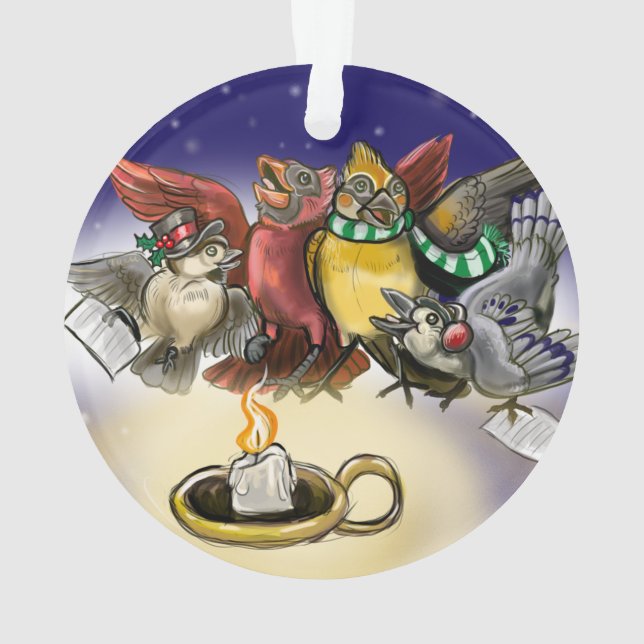 Noël des oiseaux en covoiturage (dos)