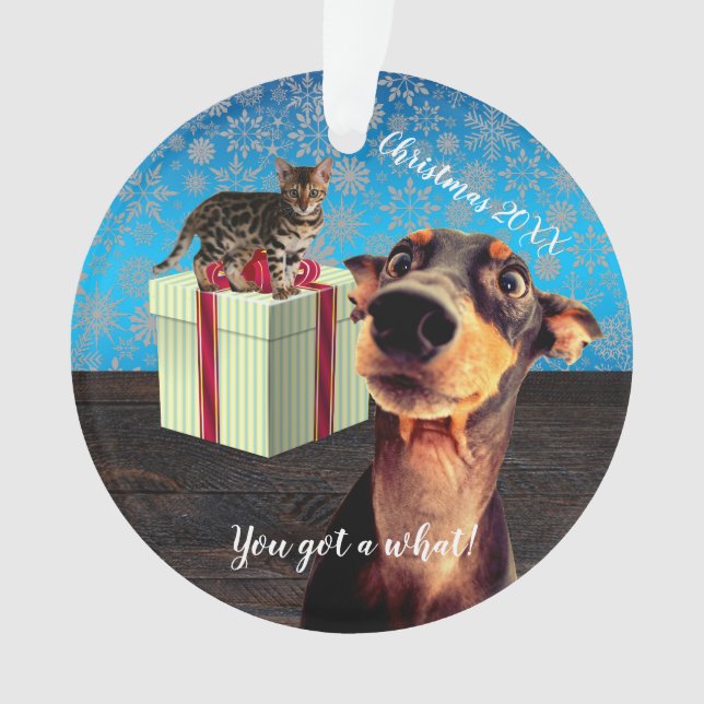 Noël Doberman Choqué (devant)