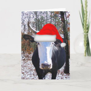 Noël d'or de Funny Heifer carte de vache