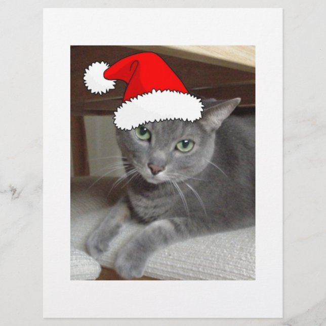Noël du chat bleu russe (Devant)