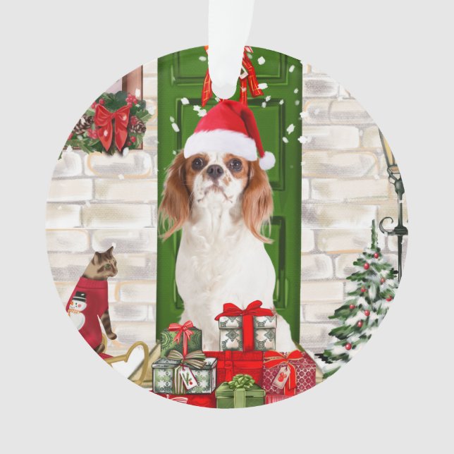 Noël du chien Cavalier King (devant)