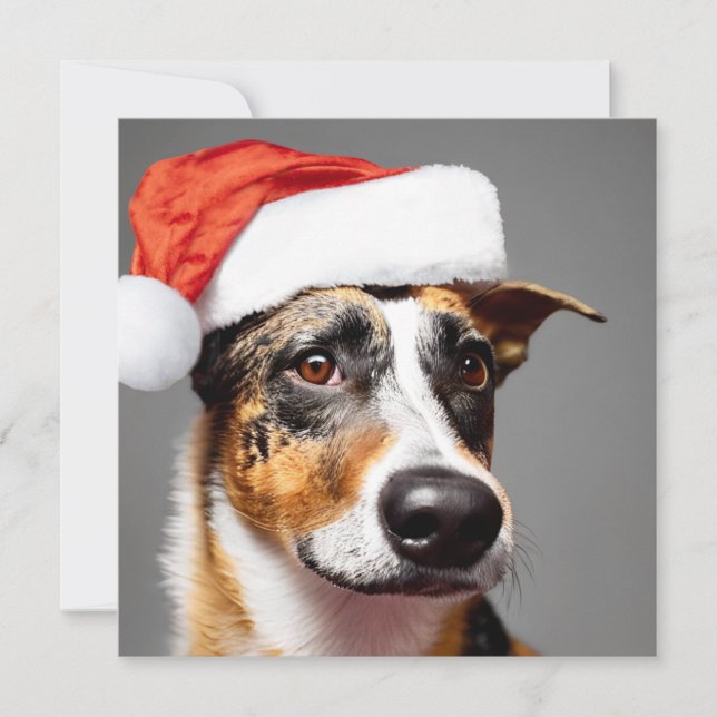 Noël du chien de bétail australien (Devant)
