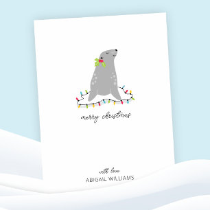 Noël du joli phoque