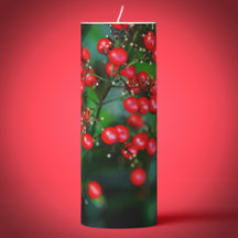 Noël est les baies !