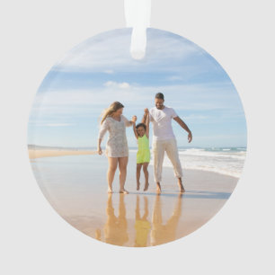 Noël hawaïen de la tortue de mer d'argent