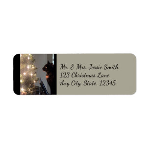 Noël Joy Calico Chat Retourner l'adresse Étiquette