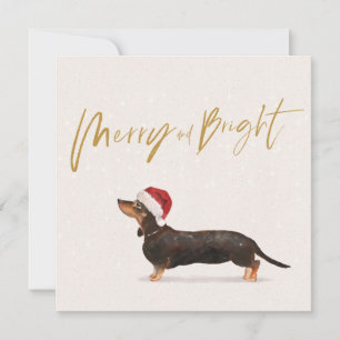 Noël Joyeux chien Dachshund