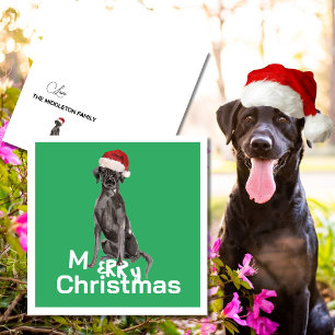 Noël Labrador Chien blanc Vert Joyeux voeux