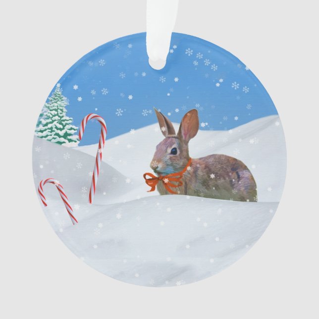 Noël, lapin, neige, sucres de canne (devant)