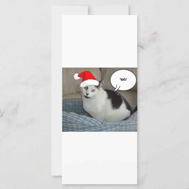 Noël noir et blanc Kitten (Devant)