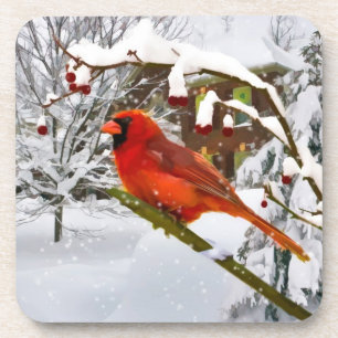 Noël, oiseau cardinal, neige, dessous de verre de