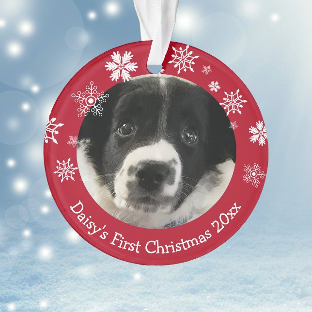 Noël personnalisé du premier Noël du chiot (Créateur téléchargé)