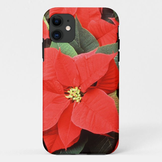 Noël Pointsettia iPhone 5 Coque (Dos)
