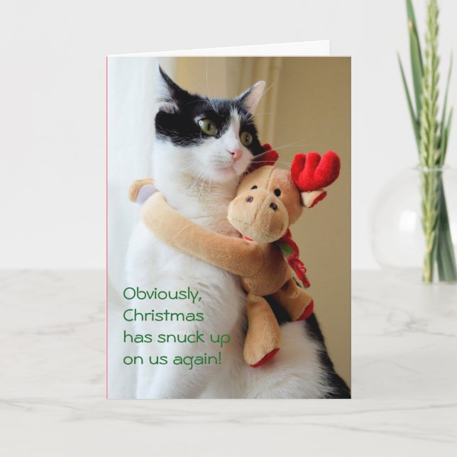 Noël S'Est Enroulé Sur Notre Carte De Voeux Chat (Devant)